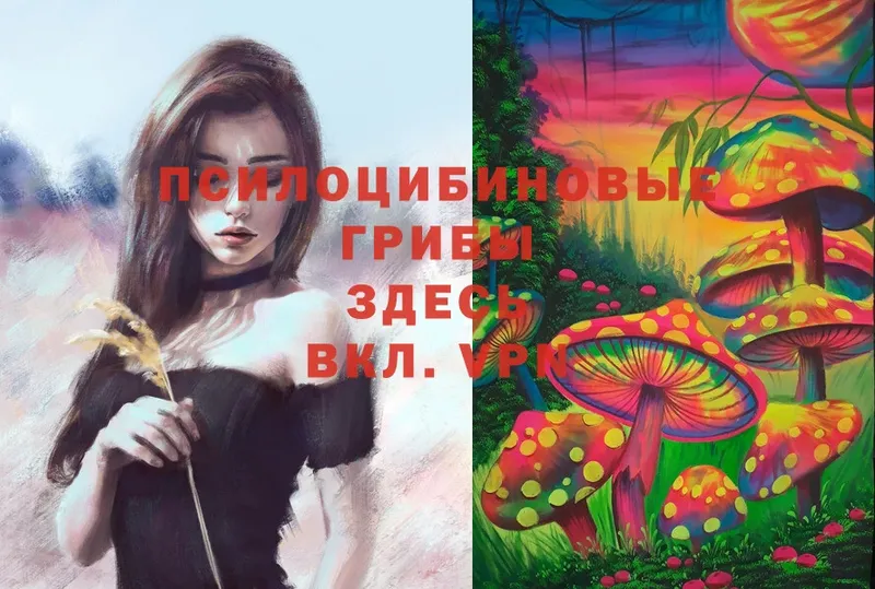 Галлюциногенные грибы Magic Shrooms  Бузулук 